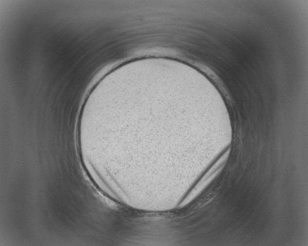 X0000080711199200701121809