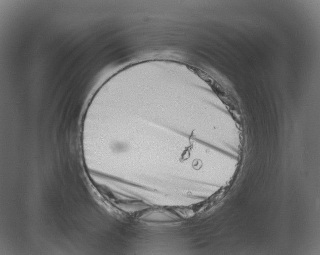 X0000080711200200701121809