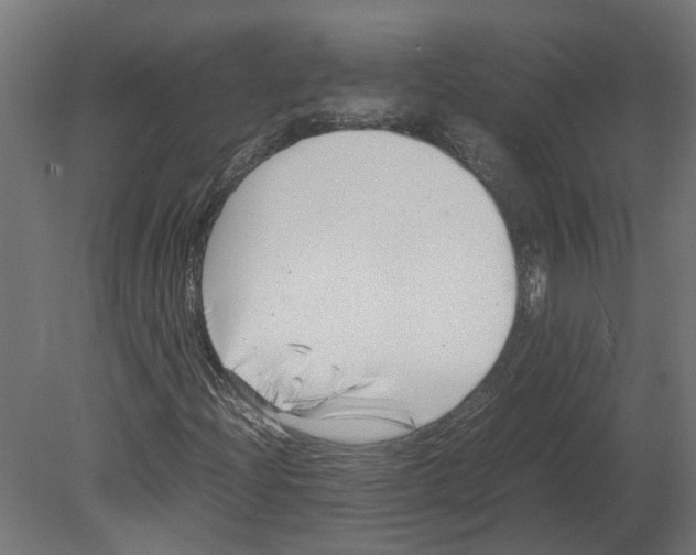 X0000080711204200701121808