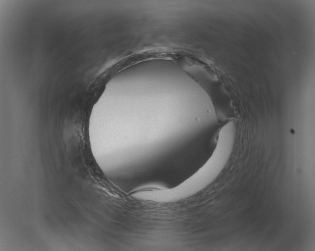 X0000080711206200701121808