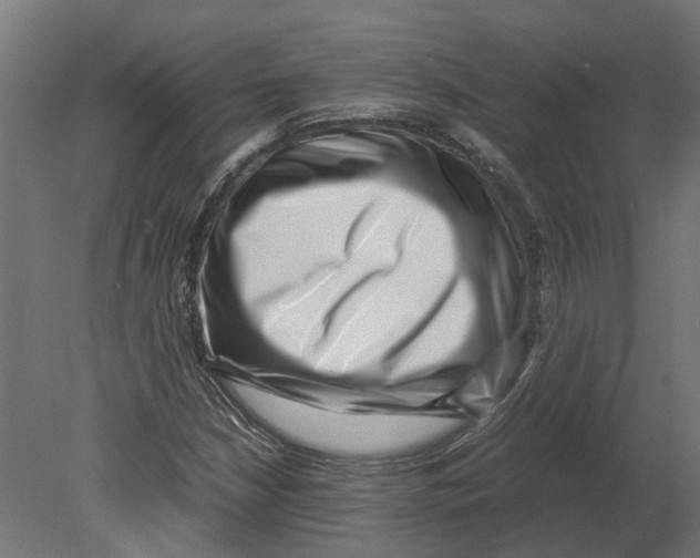 X0000080711210200701121808