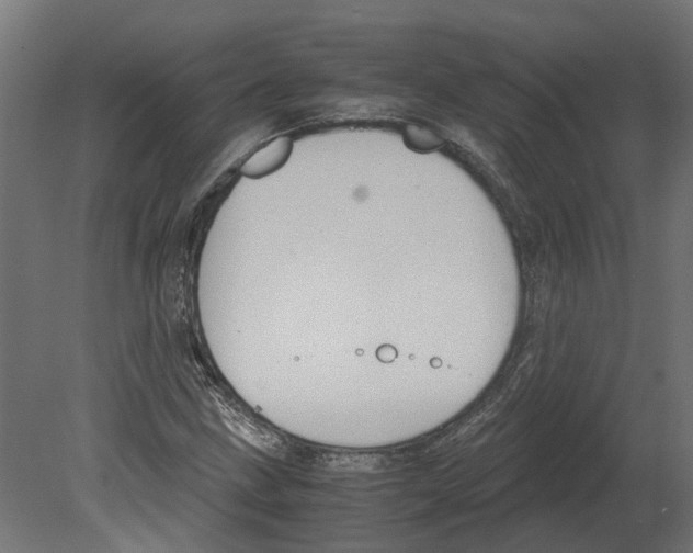 X0000080711211200701121808