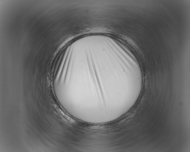 X0000080711212200701121808