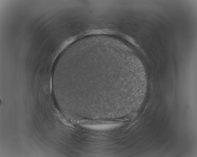 X0000080711221200701121809