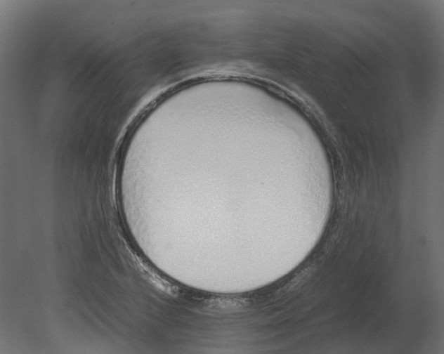 X0000080711224200701121809