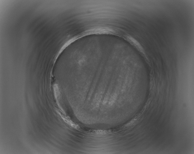 X0000080711226200701121809