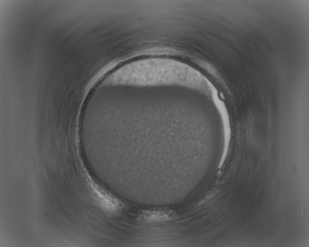 X0000080711229200701121809