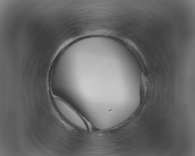 X0000080711230200701121809