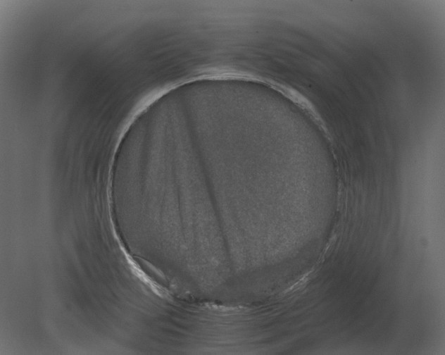 X0000080711231200701121809