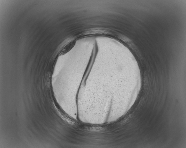 X0000080711233200701121809