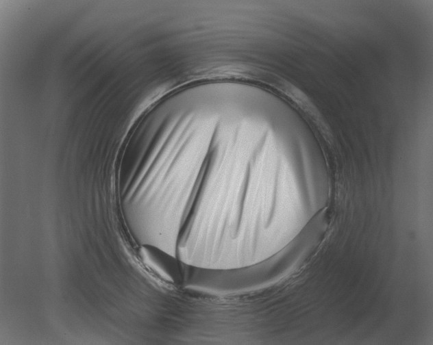 X0000080711234200701121809