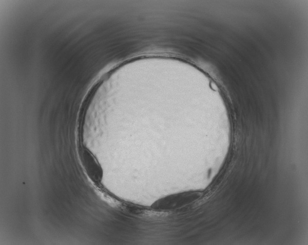 X0000080711237200701121809