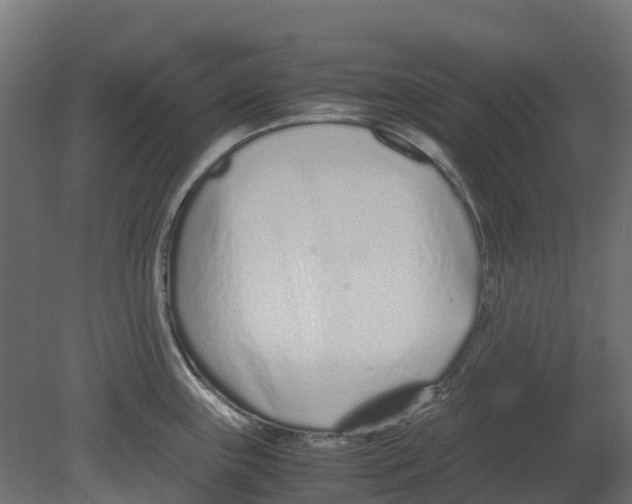 X0000080711243200701121809