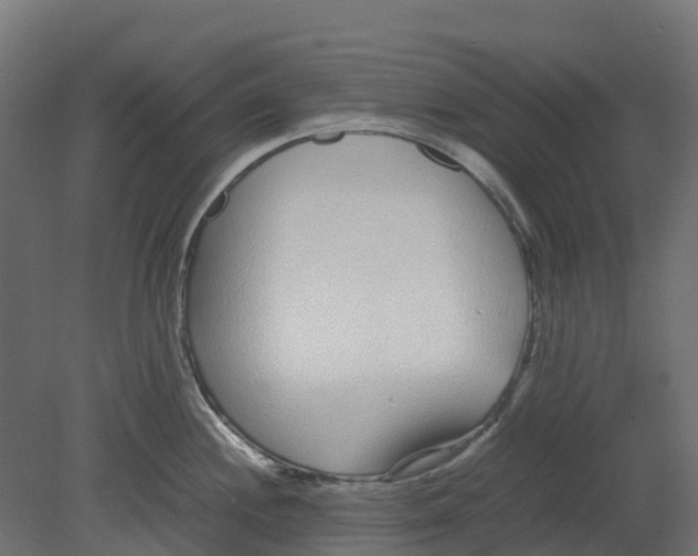 X0000080711244200701121809