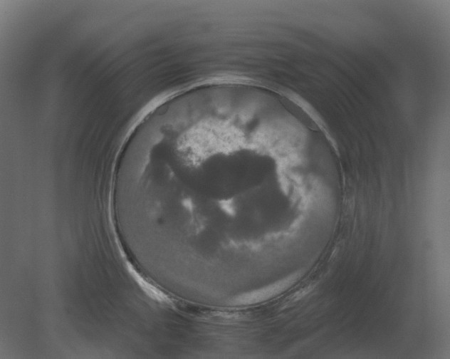 X0000080711245200701121809