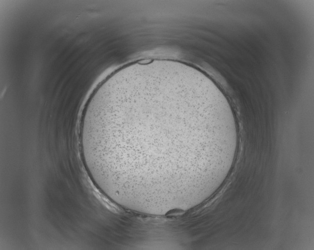 X0000080711248200701121809