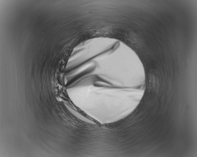 X0000080711250200701121808