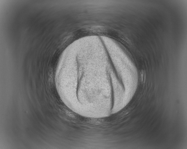 X0000080711251200701121808