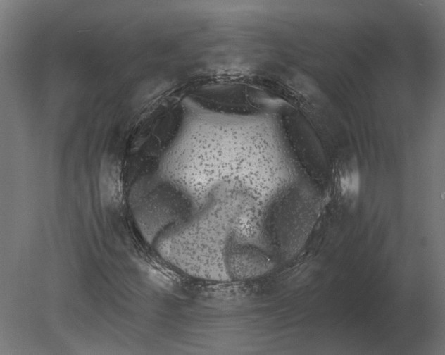 X0000080711252200701121808