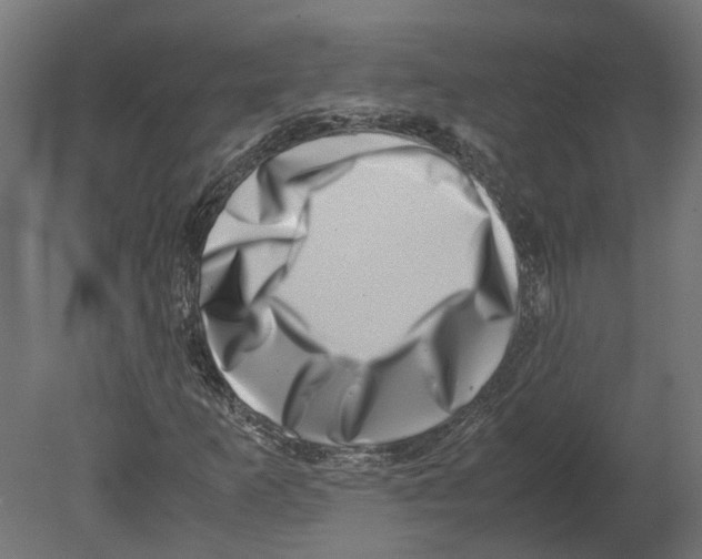 X0000080711253200701121808