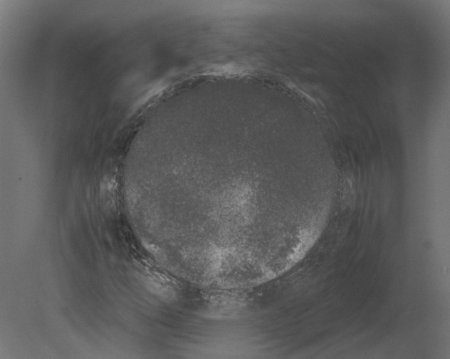 X0000080711254200701121808