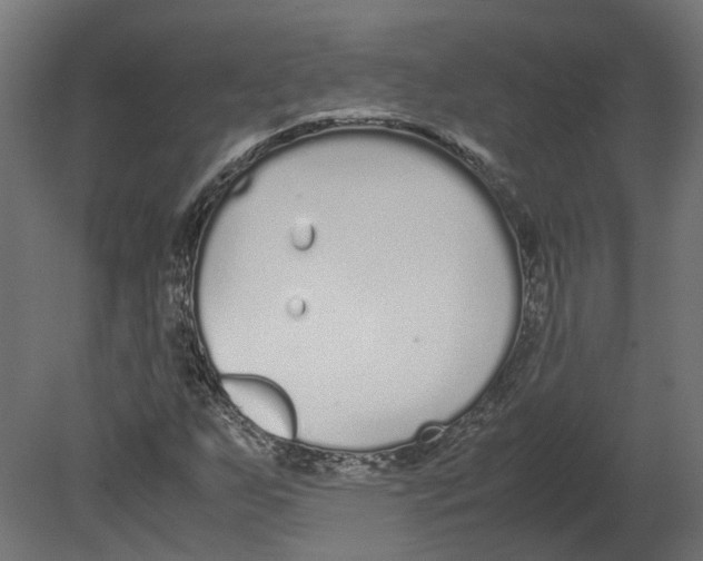 X0000080711255200701121808