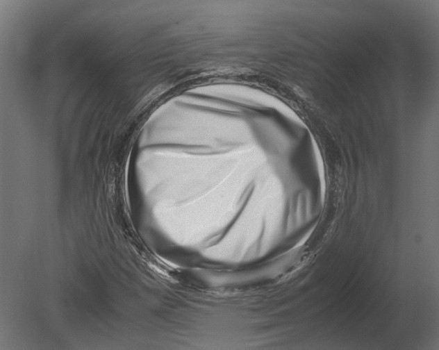 X0000080711257200701121808