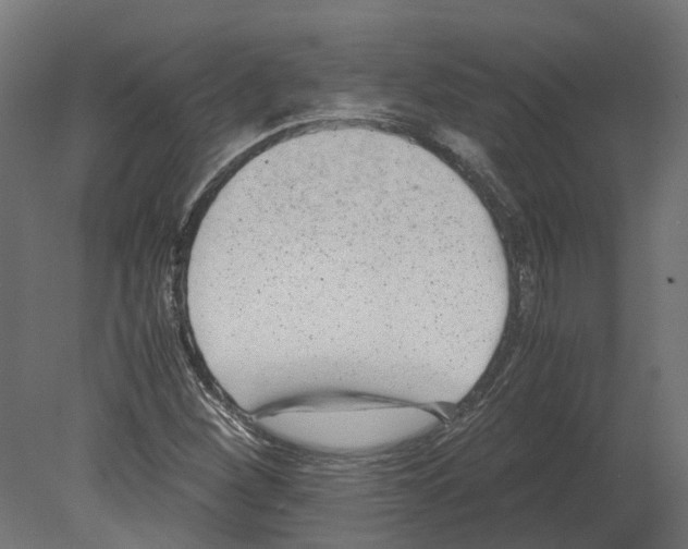 X0000080711260200701121808