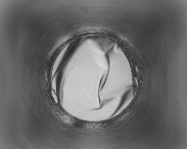 X0000080711261200701121808