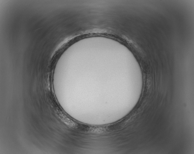 X0000080711262200701121808