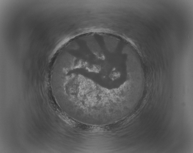 X0000080711263200701121808