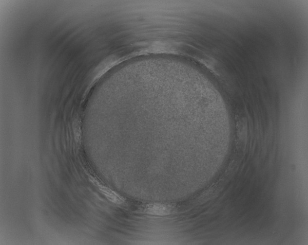 X0000080711266200701121808