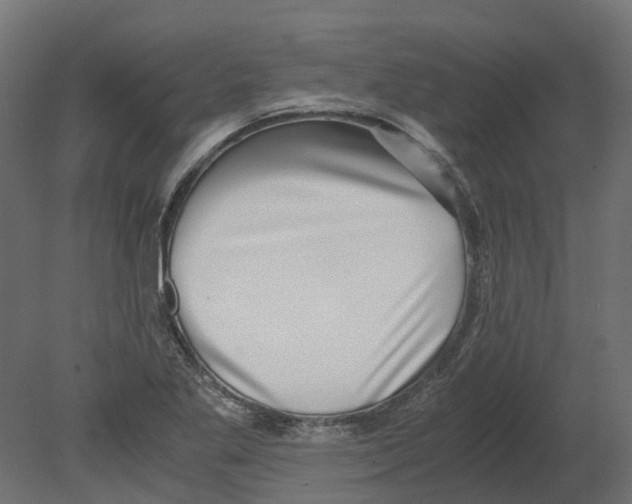 X0000080711269200701121808