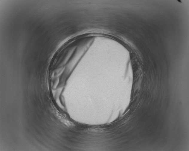 X0000080711272200701121808