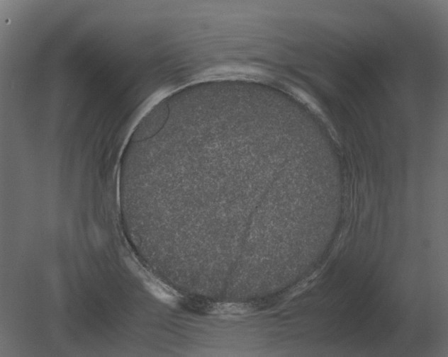 X0000080711275200701121808