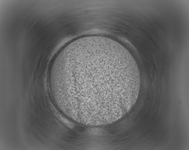 X0000080711278200701121808