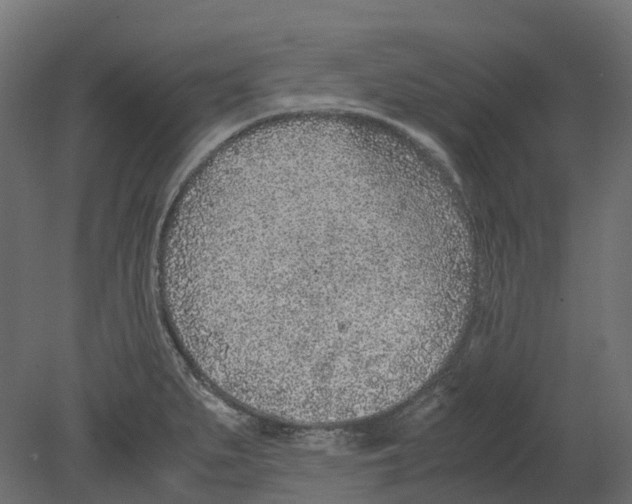 X0000080711279200701121808