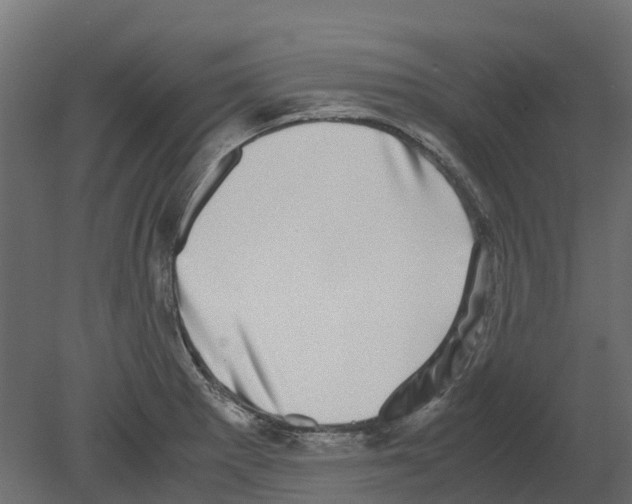 X0000080711281200701121808