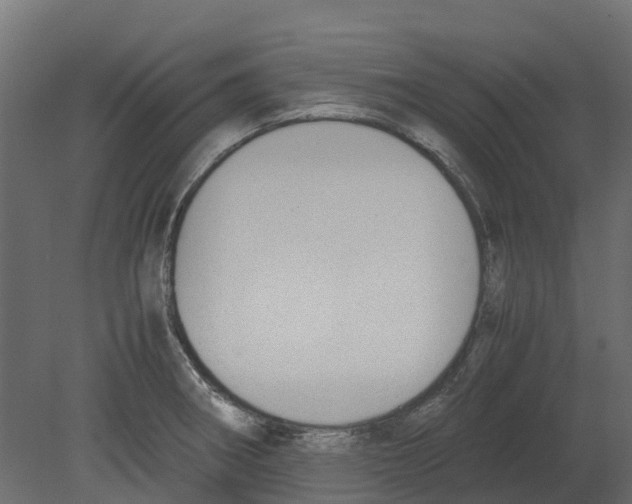 X0000080711282200701121808