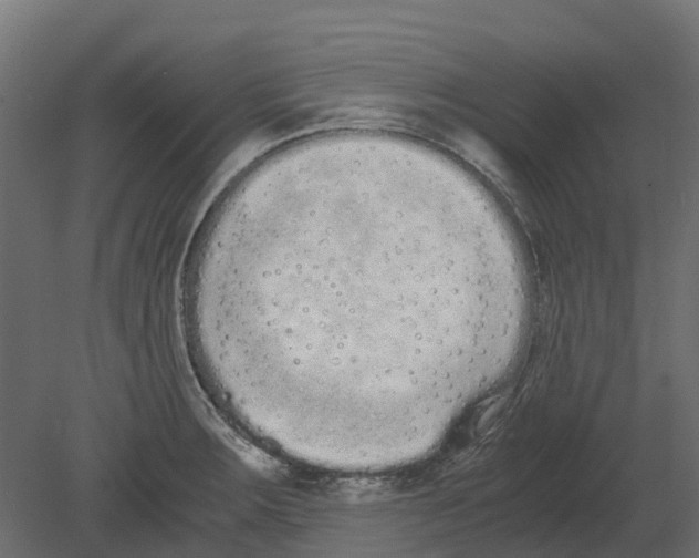 X0000080711283200701121808