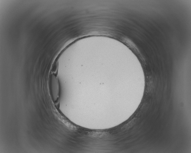 X0000080711284200701121808