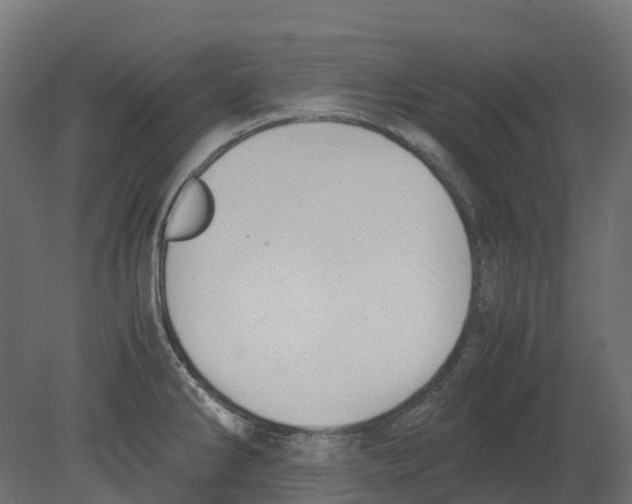 X0000080711286200701121808