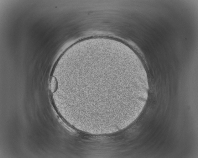 X0000080711287200701121808