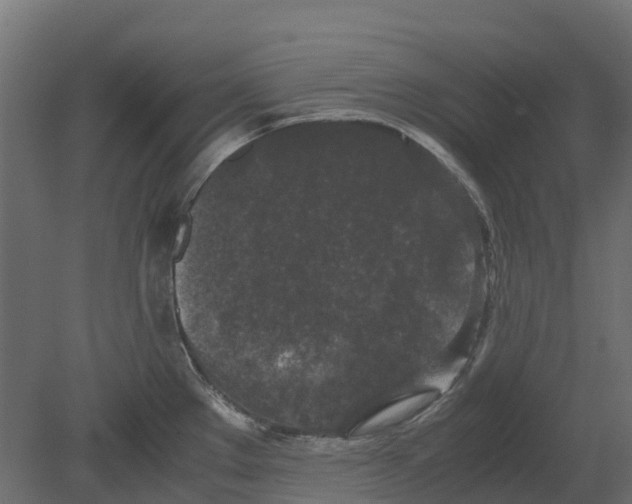 X0000080711289200701121808