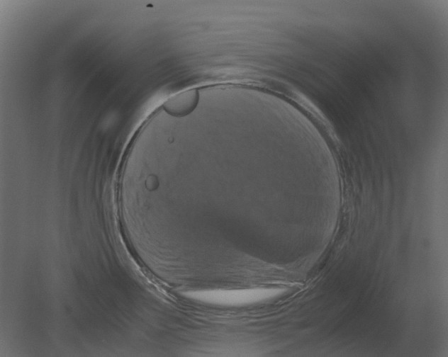 X0000080711291200701121808