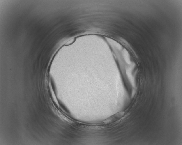 X0000080711292200701121808