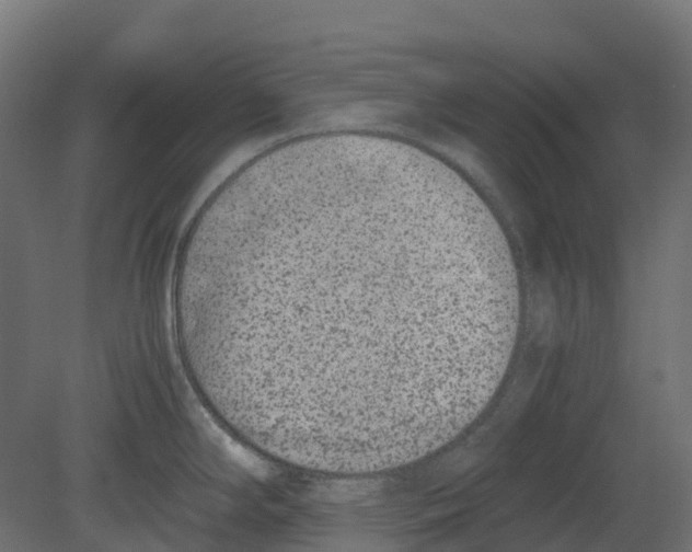 X0000080711294200701121807