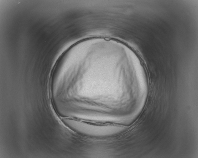 X0000080711295200701121807