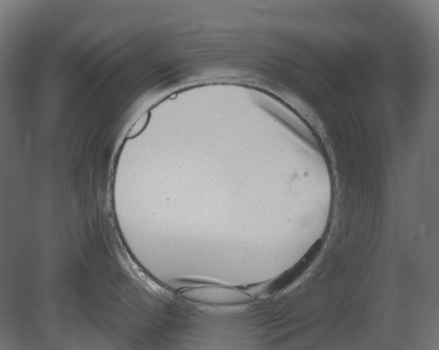 X0000080711296200701121807