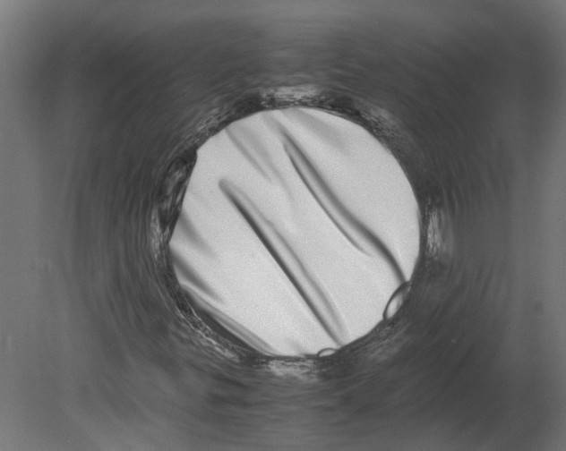 X0000080711299200701121807